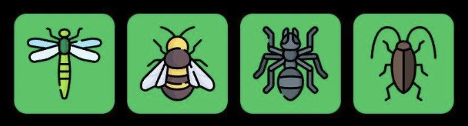 FLIES Daily Combo 13 July 2025